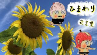 ひまわりの花言葉！８冊の文献本や上位10サイトから徹底探求！