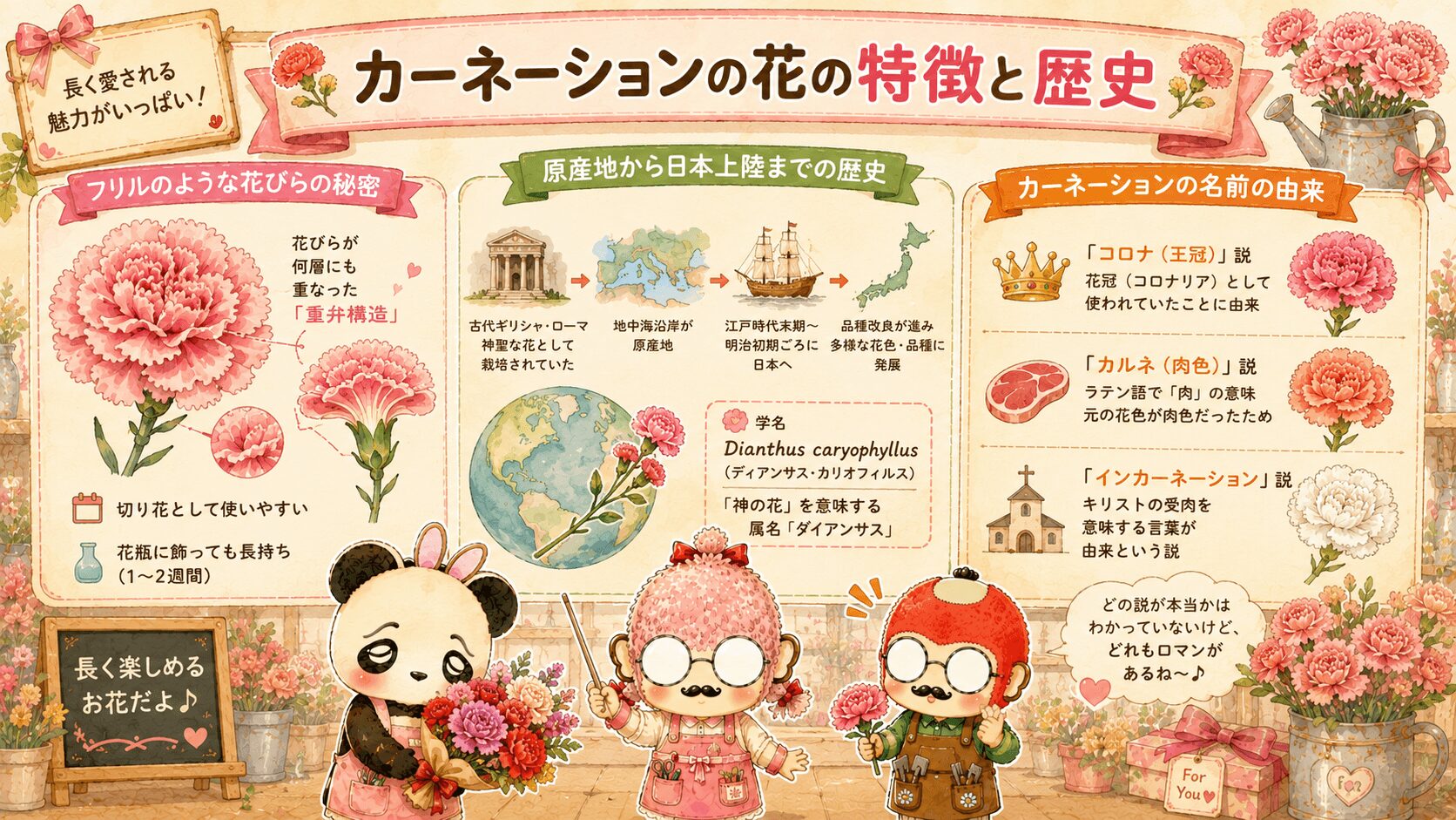 カーネーションの特徴
