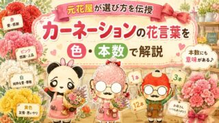 カーネーションの花言葉を色・本数で解説｜元花屋が選び方を伝授
