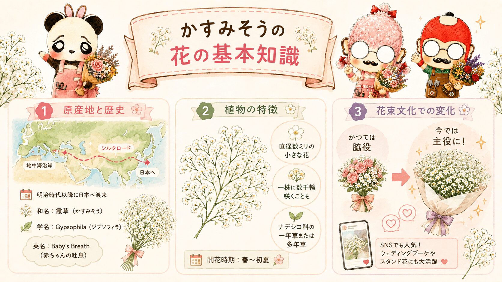 かすみそうの基本情報
