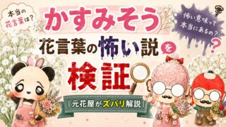 かすみそうの花言葉が怖い説を検証｜元花屋がズバリ解説
