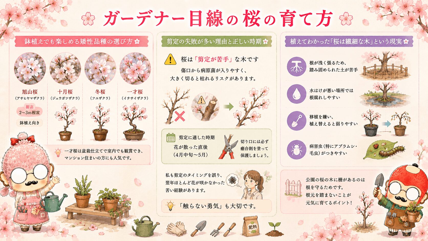 かわいい桜の育て方ガイド
