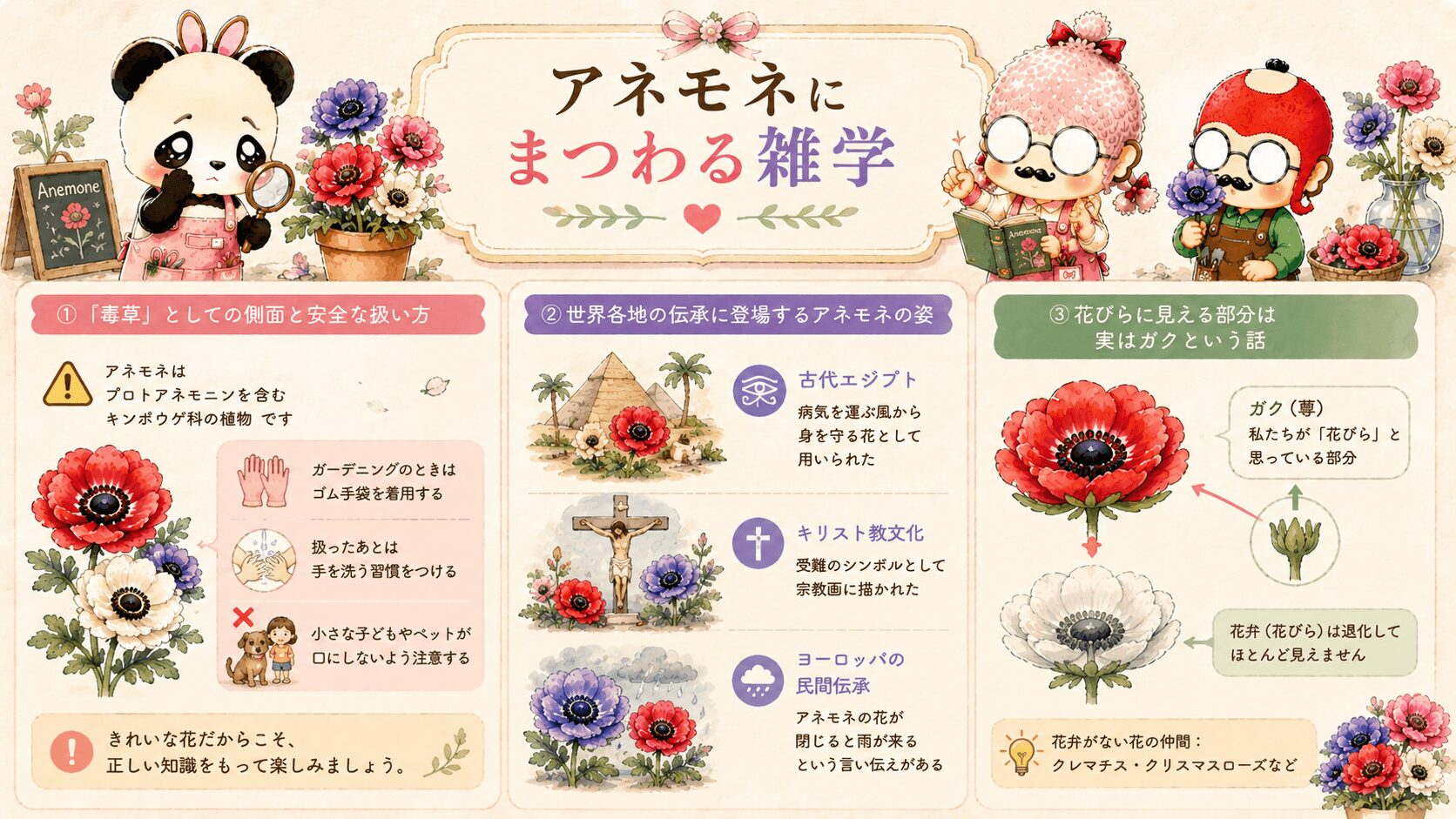 アネモネにまつわる雑学