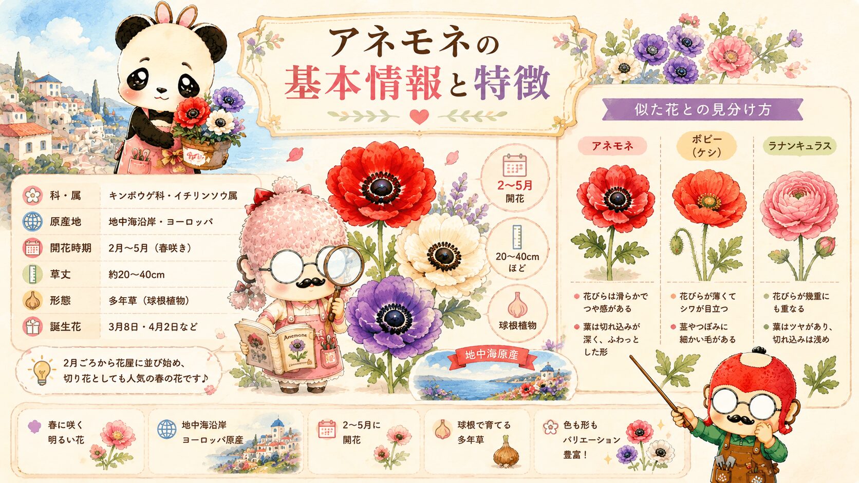 アネモネの基本情報と特徴