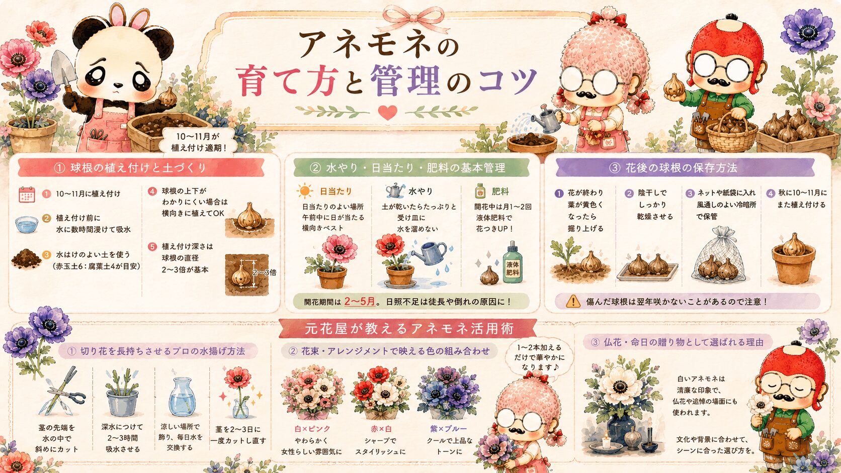 アネモネの育て方とコツ