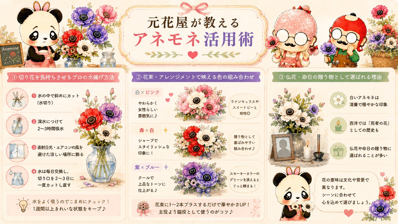 アネモネ活用術
