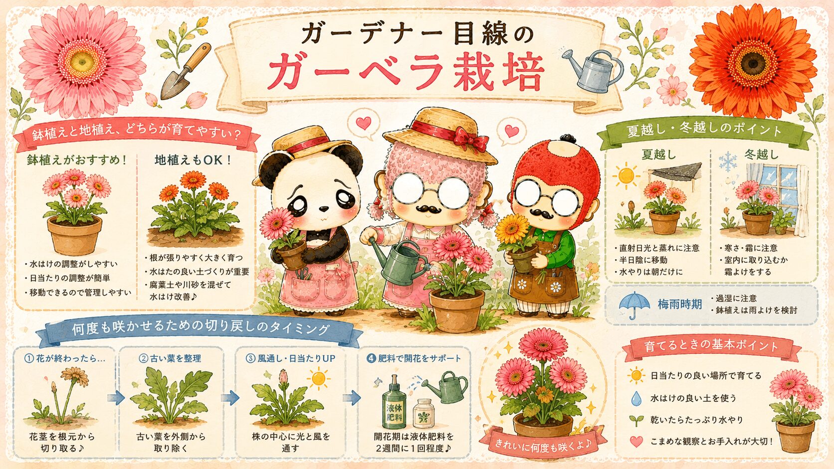 ガーデナー目線のガーベラ栽培