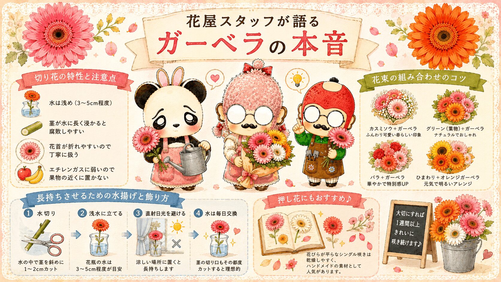 ガーベラの秘密