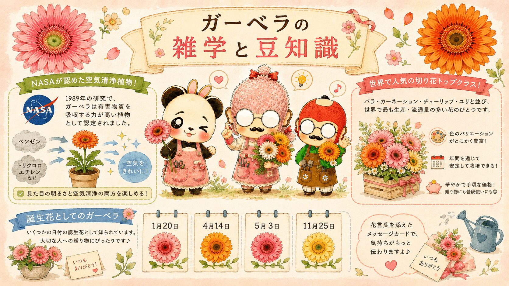 ガーベラの雑学と豆知識