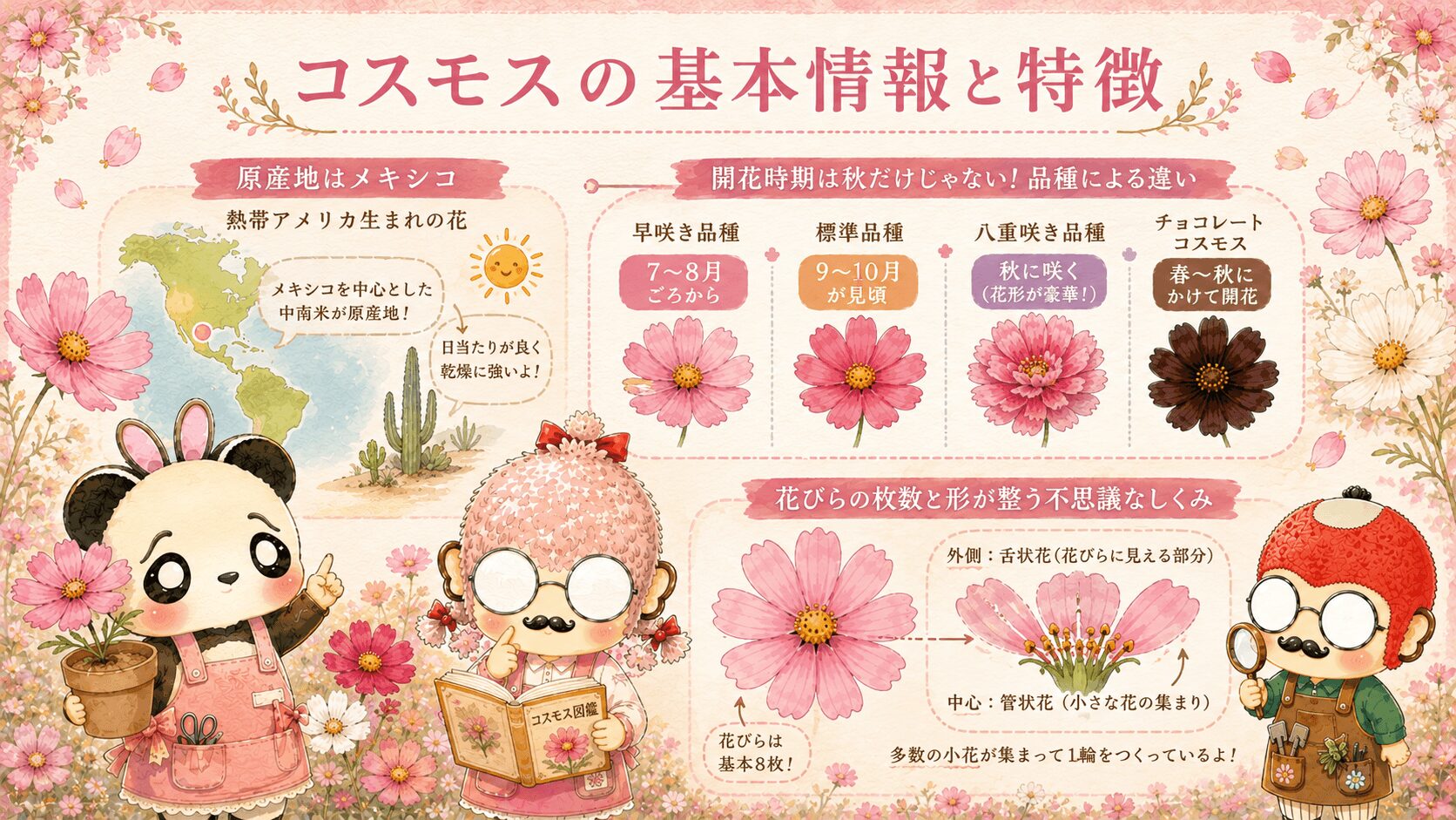 コスモスの基本情報