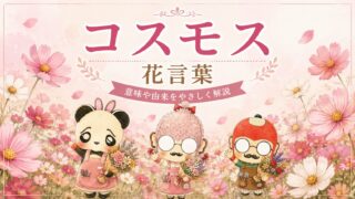 コスモス花言葉「怖い」と検索したあなたへ｜正しい意味を解説