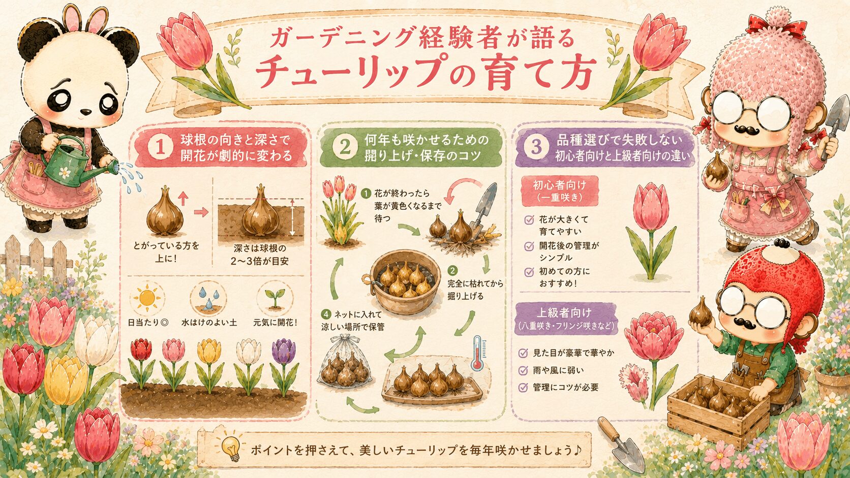 チューリップの育て方