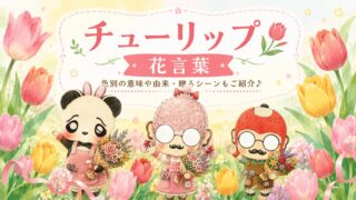 チューリップの花言葉は色で全然違う｜赤・白・黄色の選び方