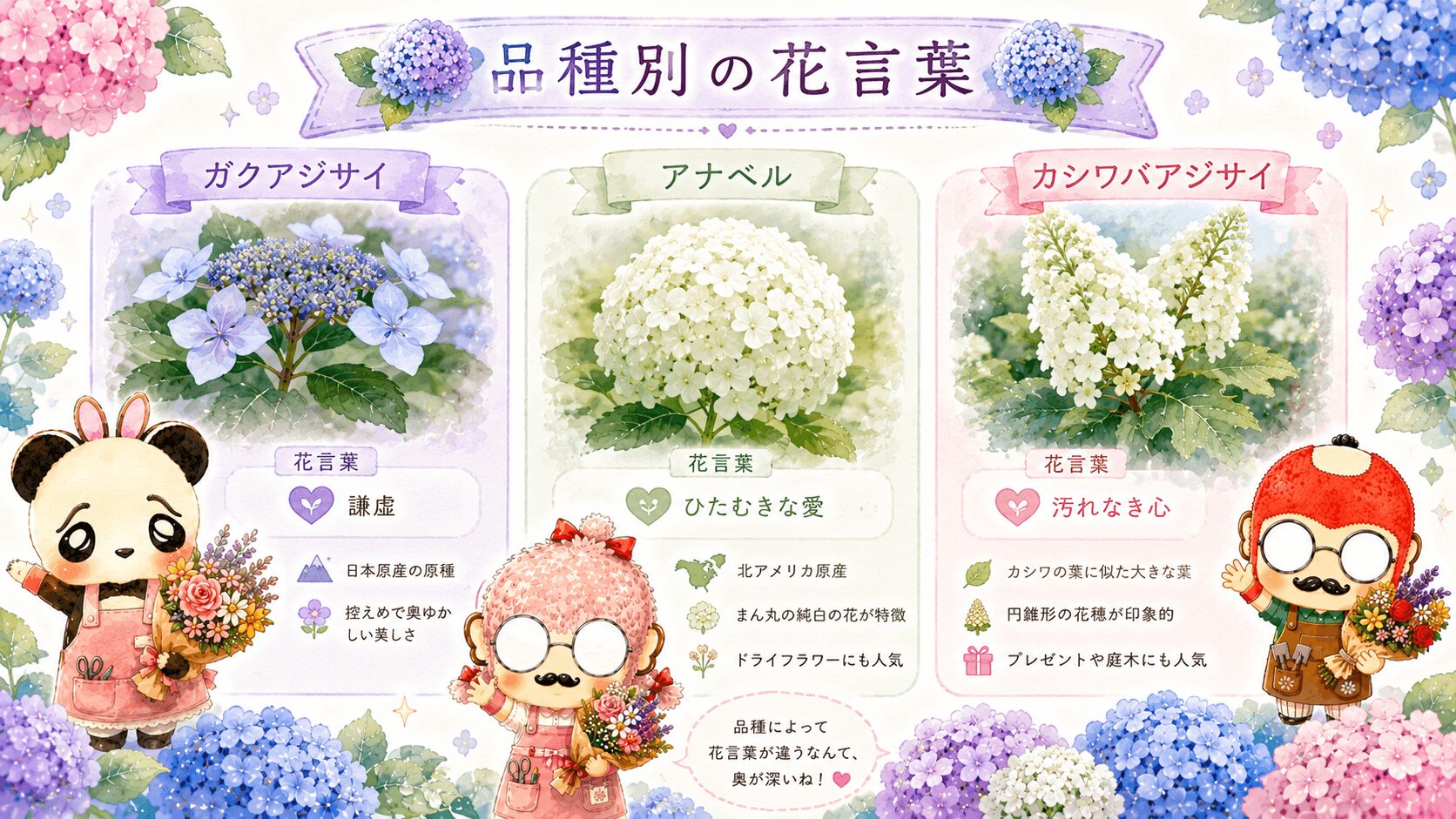 紫陽花の品種別の花言葉