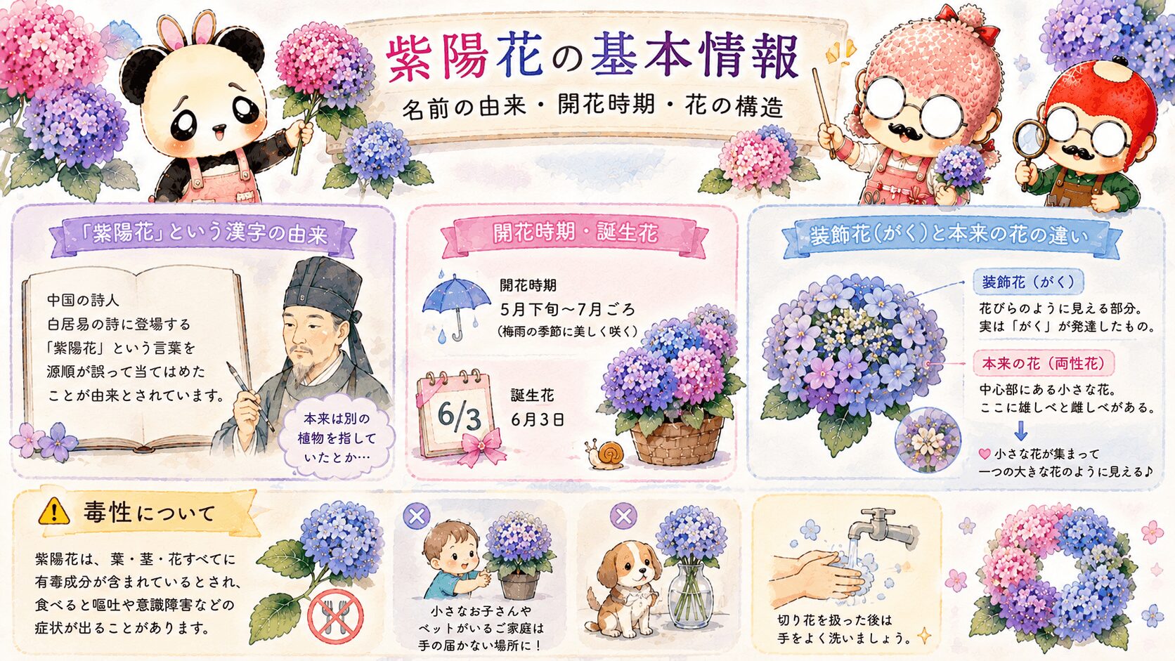 紫陽花の基本情報