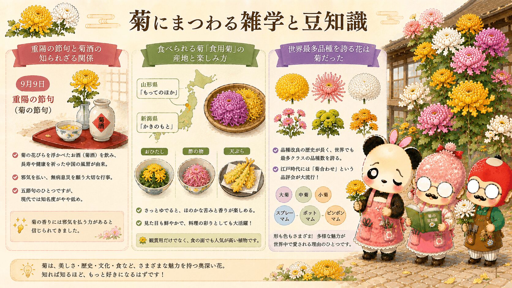 菊にまつわる雑学