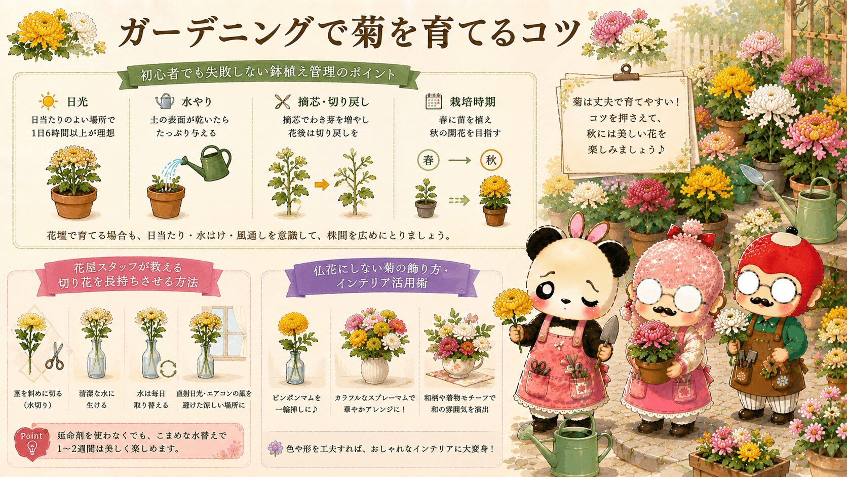 菊のガーデニング活用
