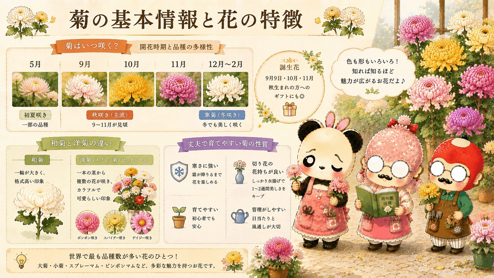 菊の基本情報