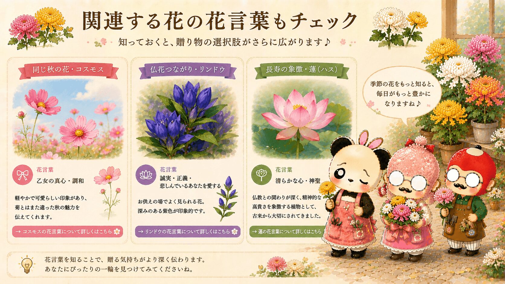 菊の花言葉に関連する花