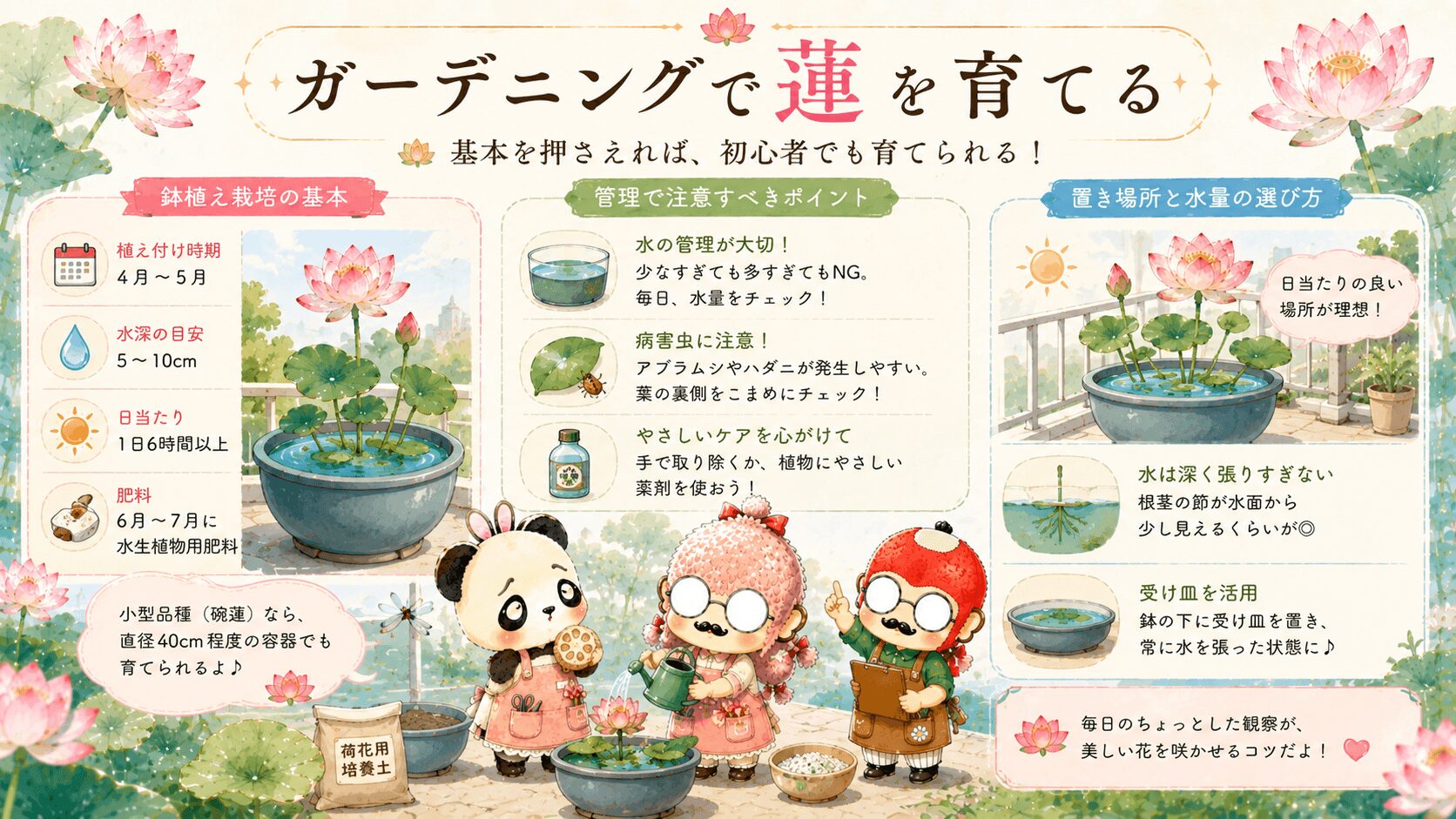 ガーデニングと蓮