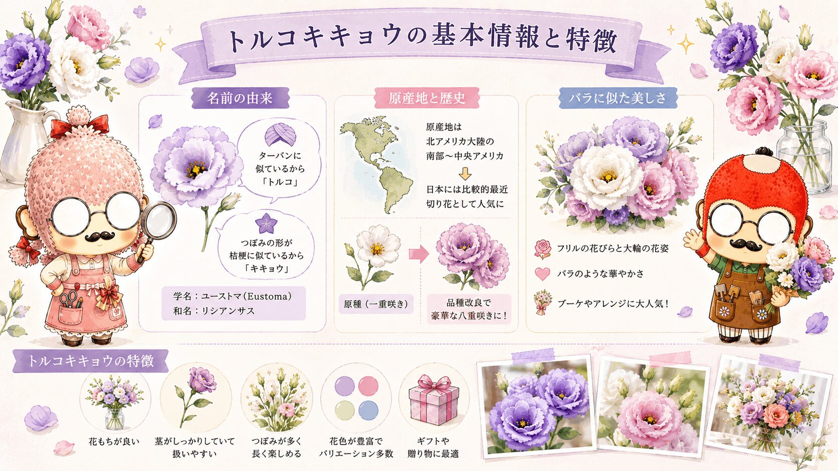 トルコキキョウの基本情報