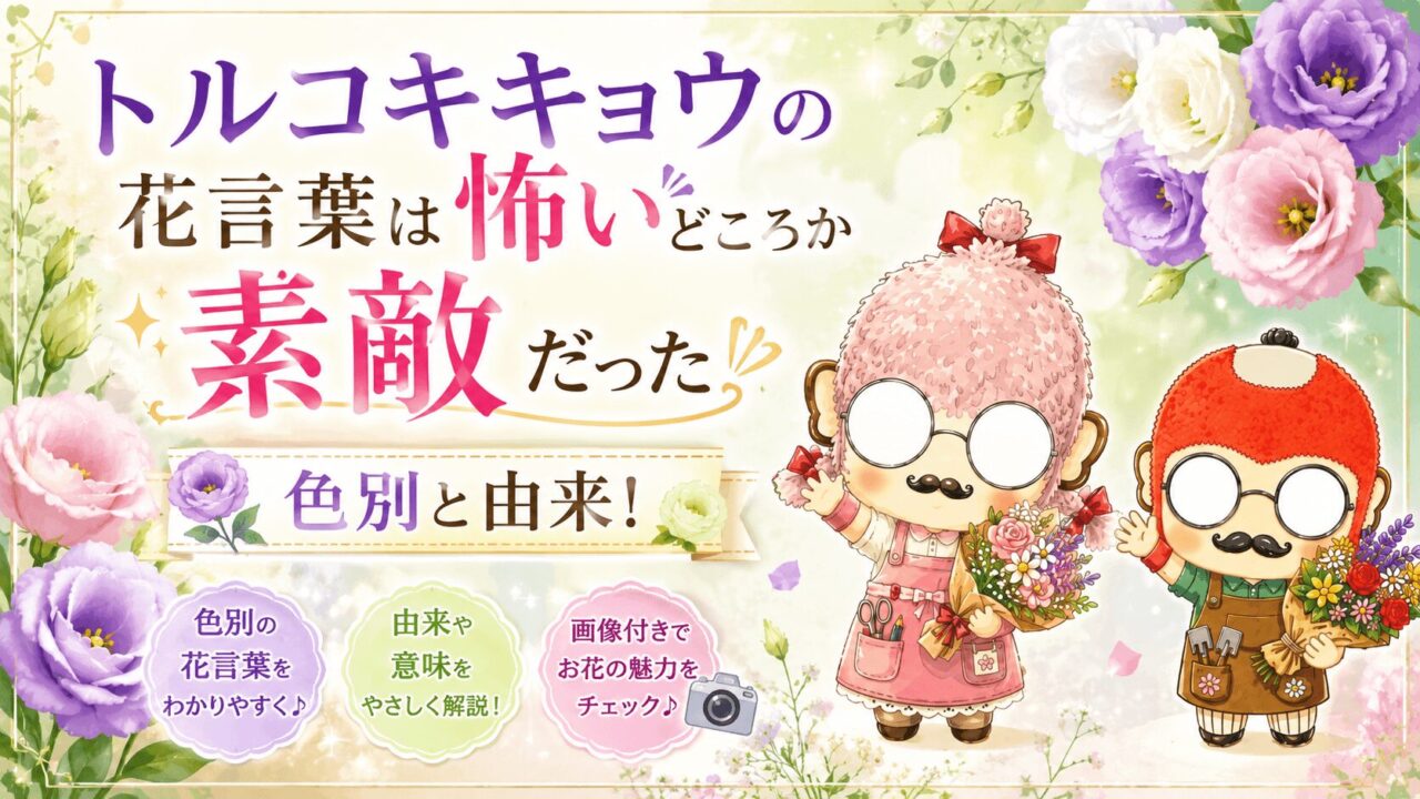 トルコキキョウの花言葉は怖いどころか素敵だった｜色別と由来！