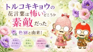 【まとめ】梅の花言葉！清少納言も称賛した百花の魁を大特集！