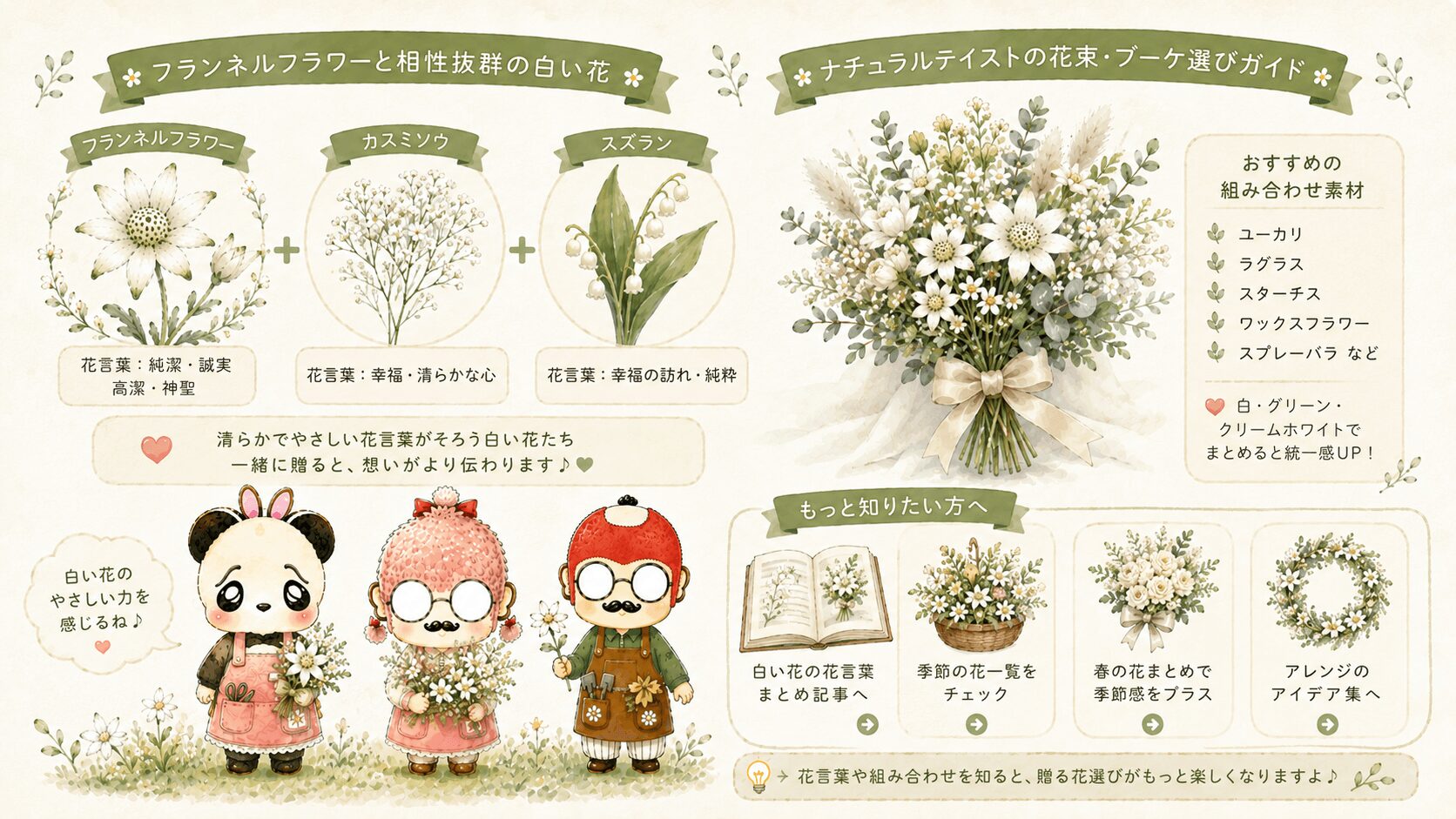 フランネルフラワーに関連する白い花