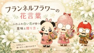 フランネルフラワーの花言葉｜ふわふわ白い花が持つ意味と贈り方