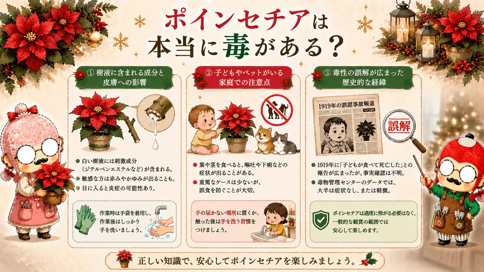 ポインセチアには毒があるのか