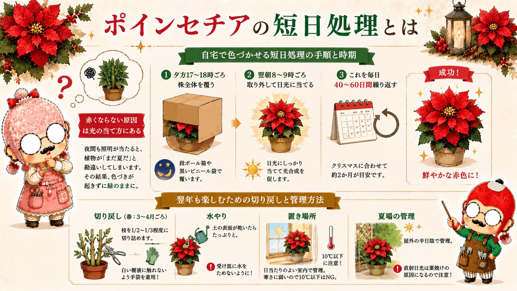 ポインセチアの短日処理とは