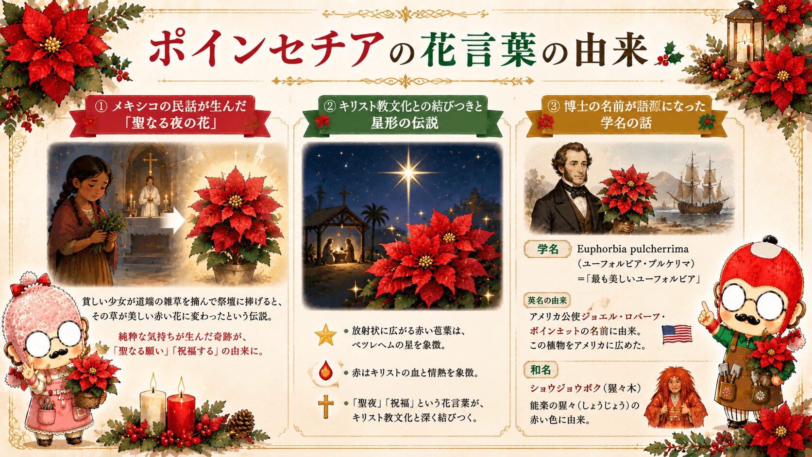 ポインセチアの花言葉の由来