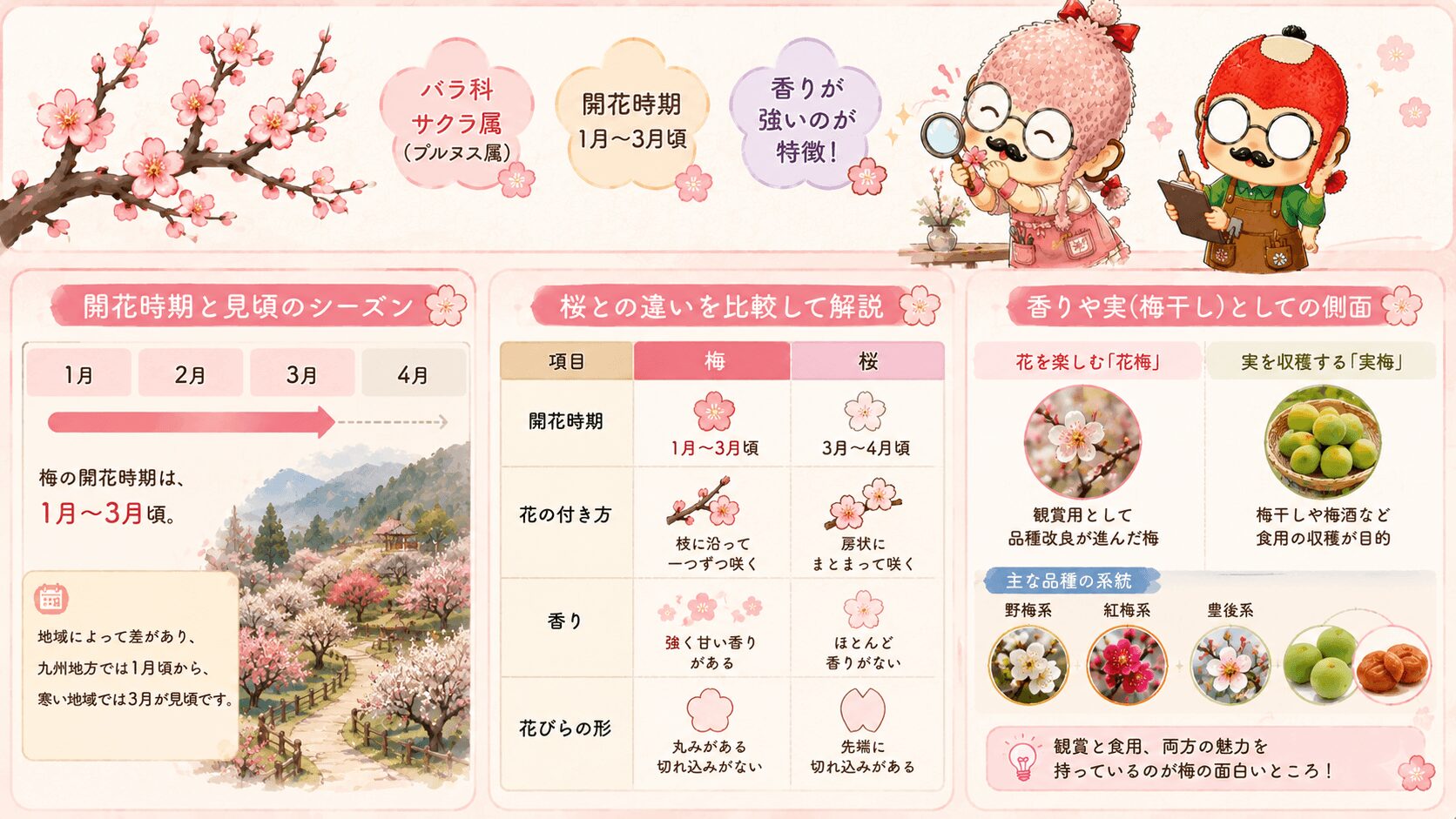 梅の花とその魅力