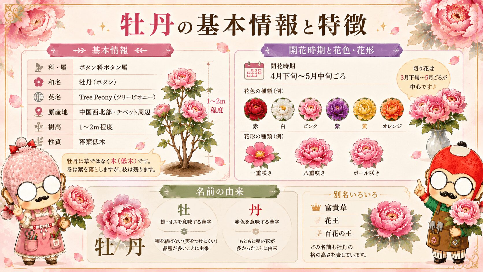 牡丹の基本情報
