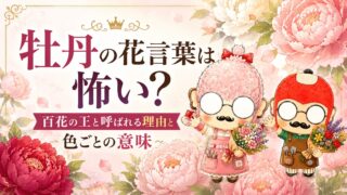 牡丹の花言葉は怖い？｜百花の王と呼ばれる理由と色ごとの意味