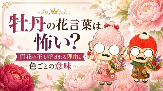 フランネルフラワーの花言葉｜ふわふわ白い花が持つ意味と贈り方