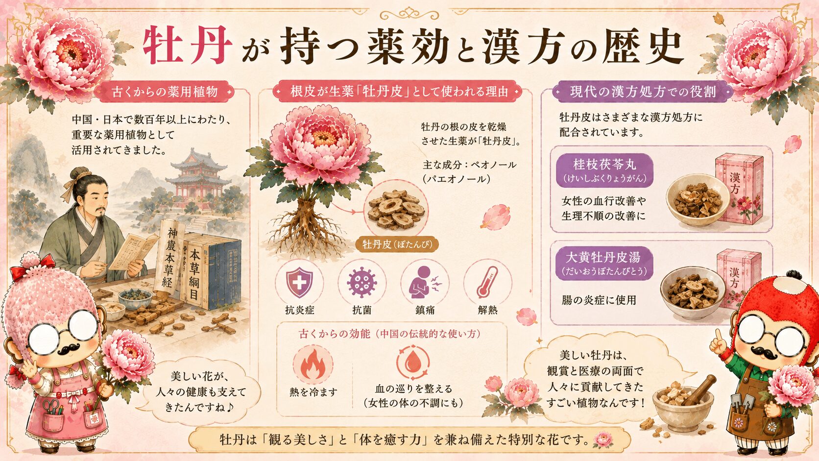 牡丹の薬効と歴史