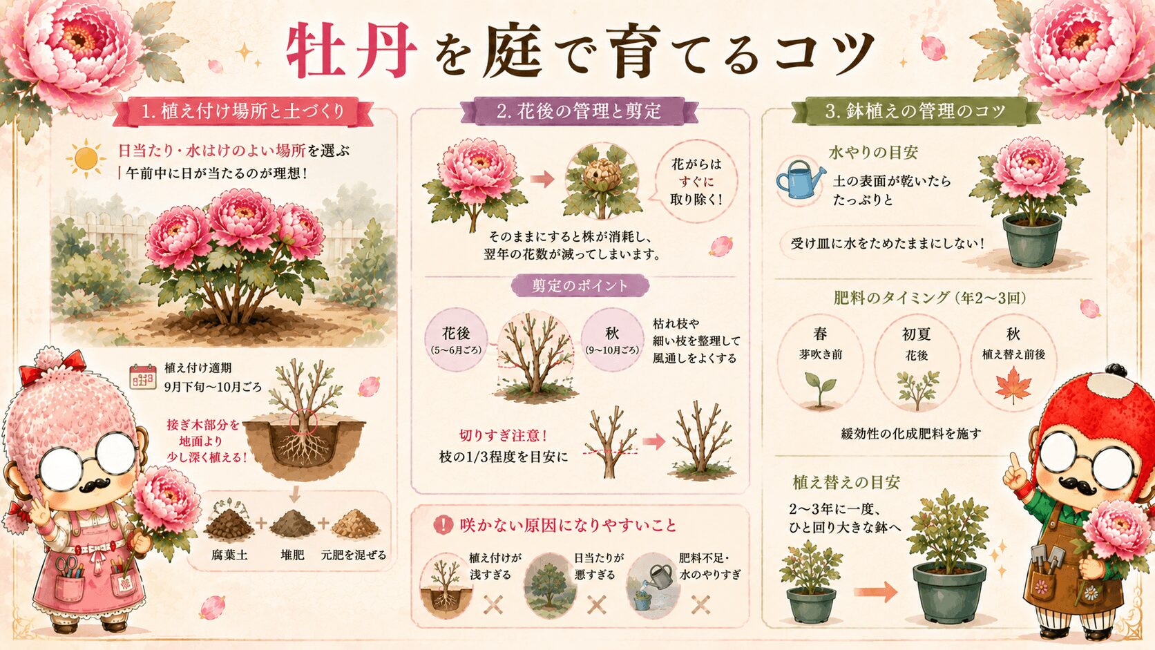 牡丹を庭で育てるコツ