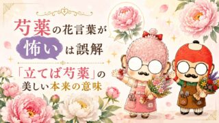 芍薬の花言葉が怖いは誤解｜「立てば芍薬」の美しい本来の意味