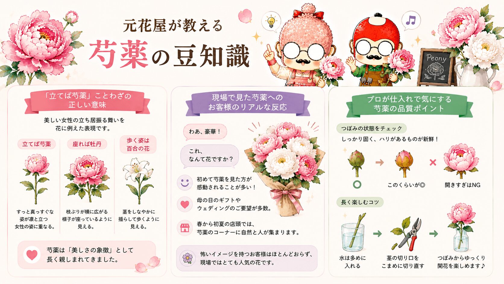 芍薬の豆知識