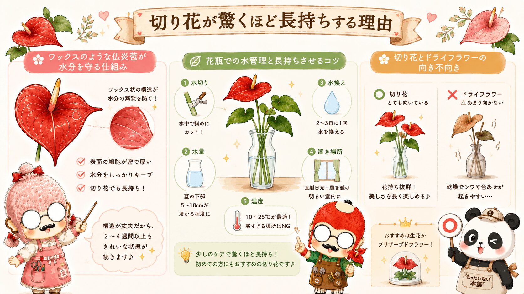 アンスリウムと切り花