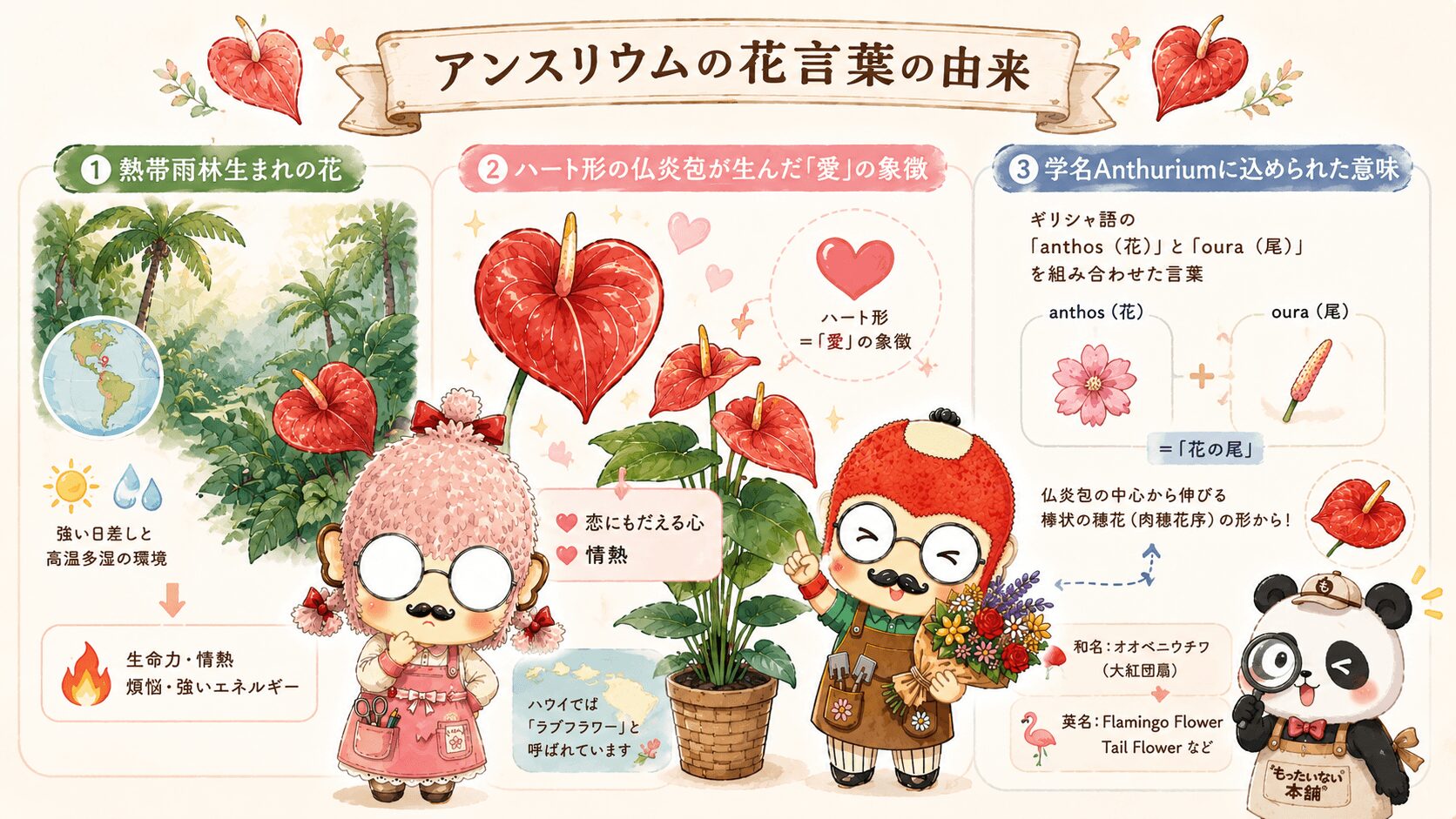 アンスリウムの花言葉の由来