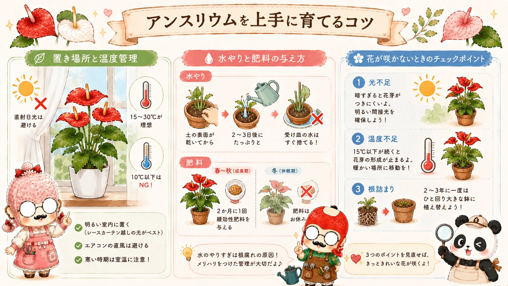 アンスリウムを上手に育てるコツ