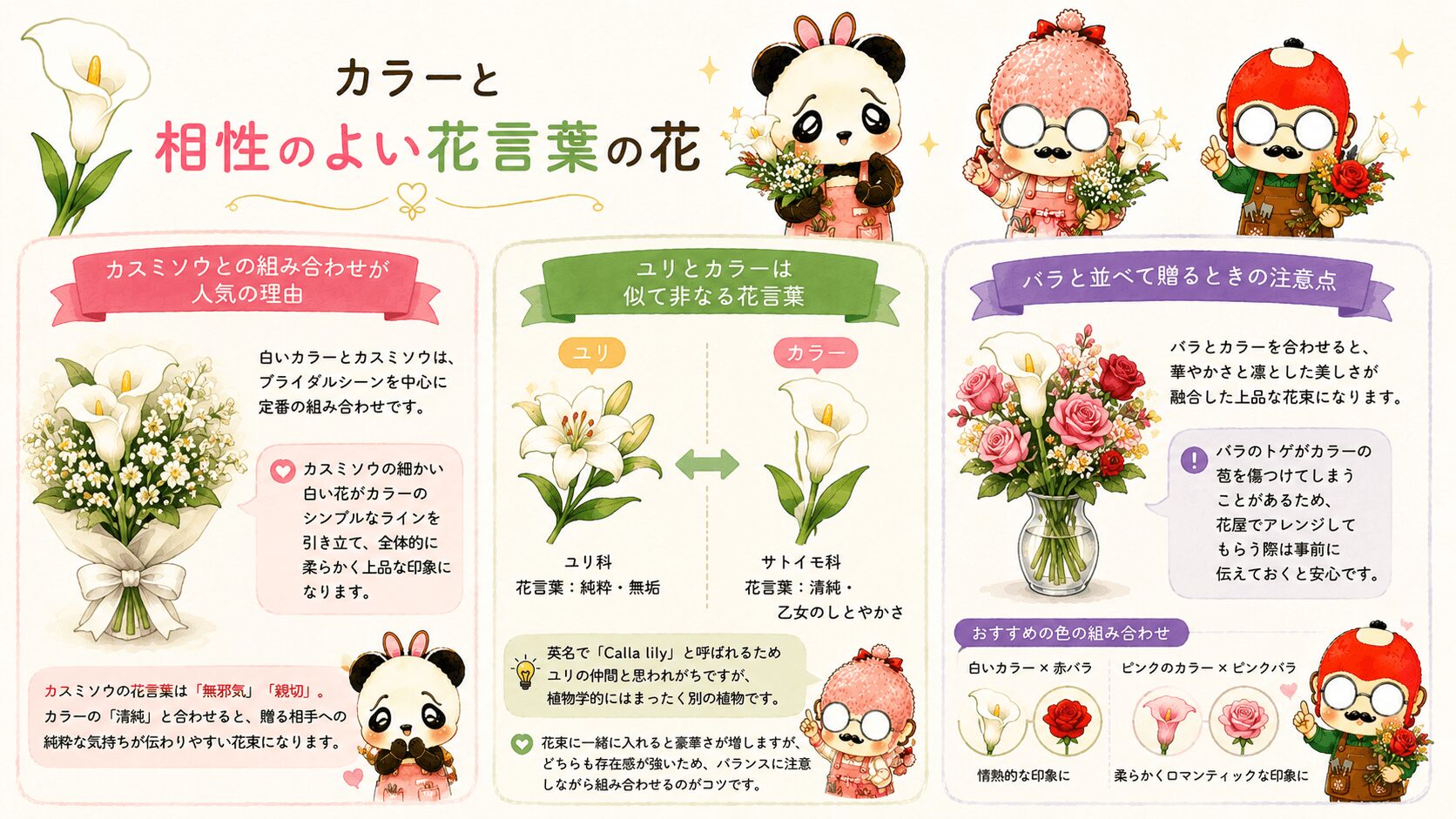 カラーと相性の良い花言葉の花