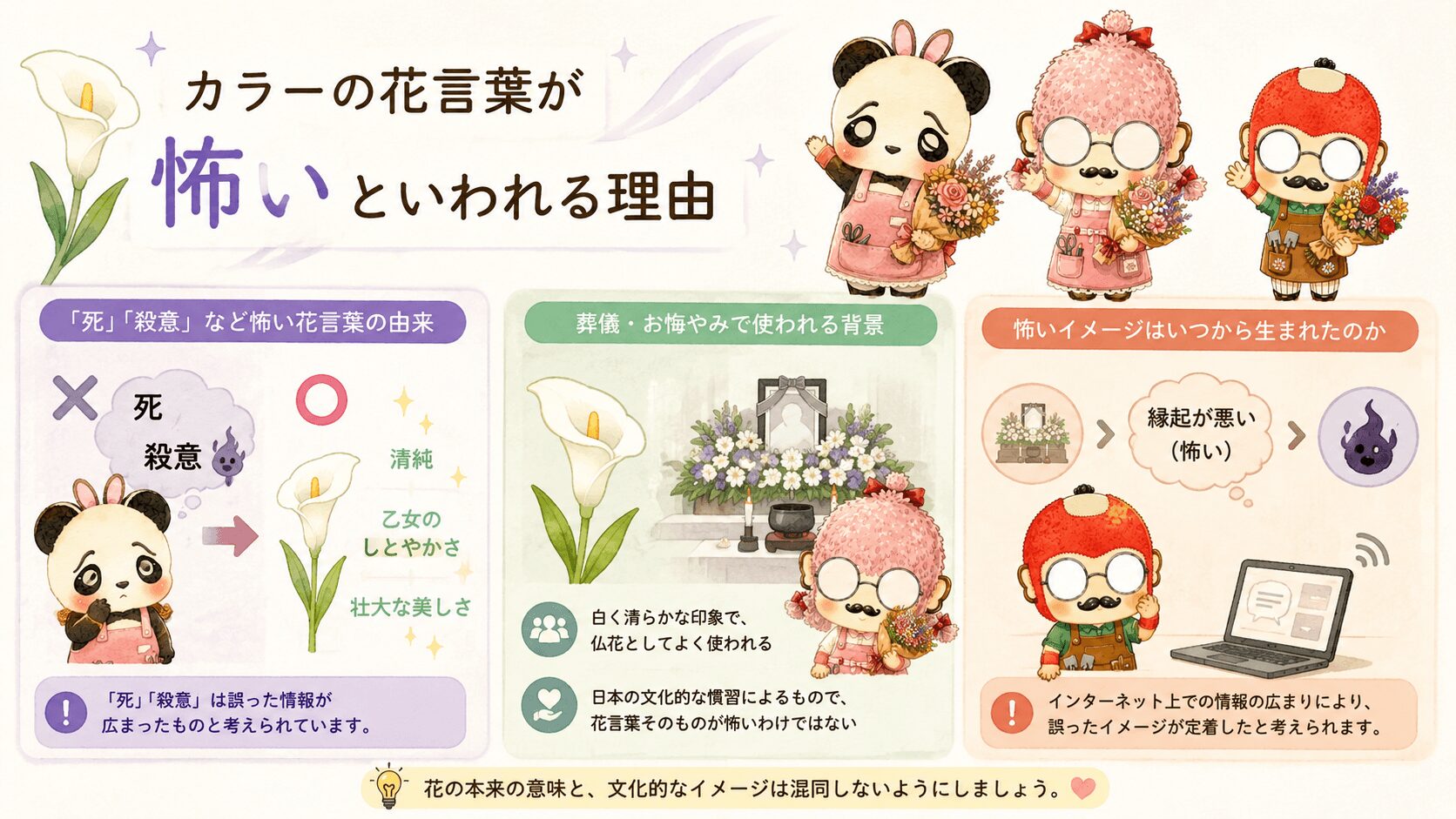 カラーの花言葉が怖いのはなぜ？