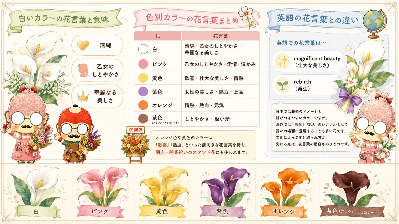 カラーの花言葉一覧