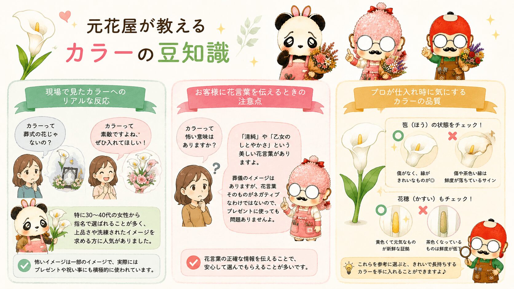 カラーの豆知識