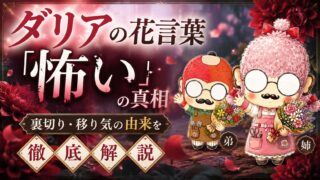ダリアの花言葉「怖い」の真相｜裏切り・移り気の由来を徹底解説
