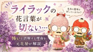 ライラックの花言葉が切ない…怖いと誤解する理由を元花屋が解説