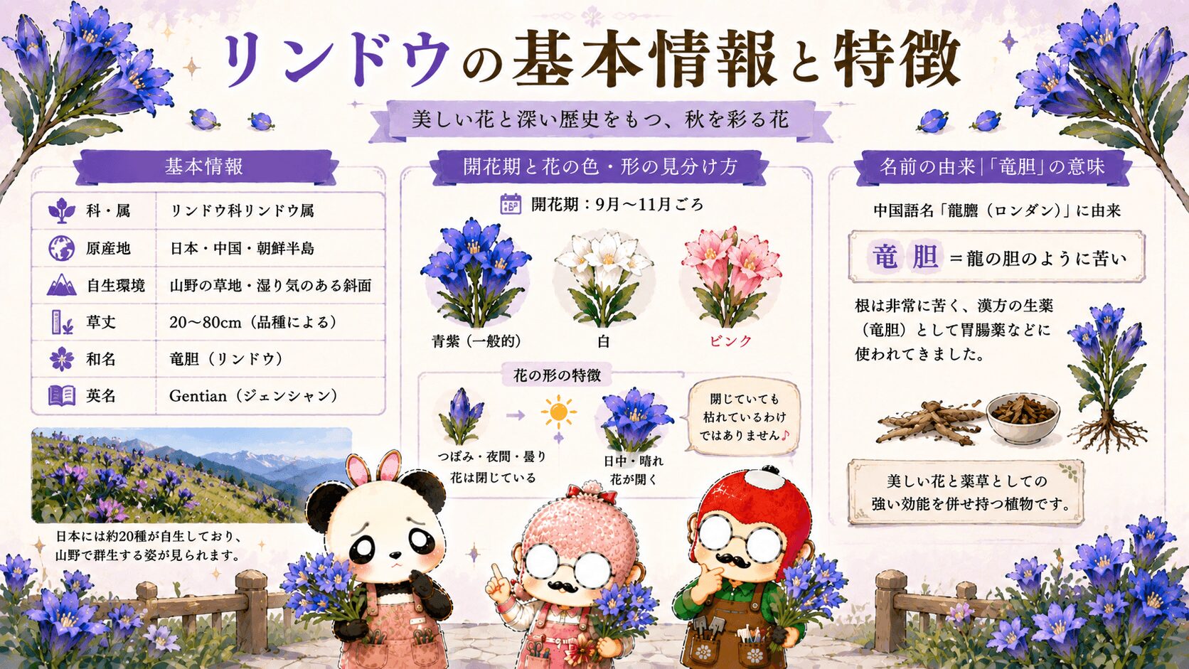 リンドウの基本情報